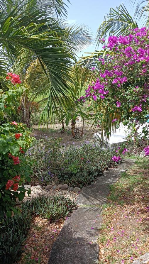 T2 Jardin Clos Les Nids De La Colline Saint-Francois  Exteriör bild